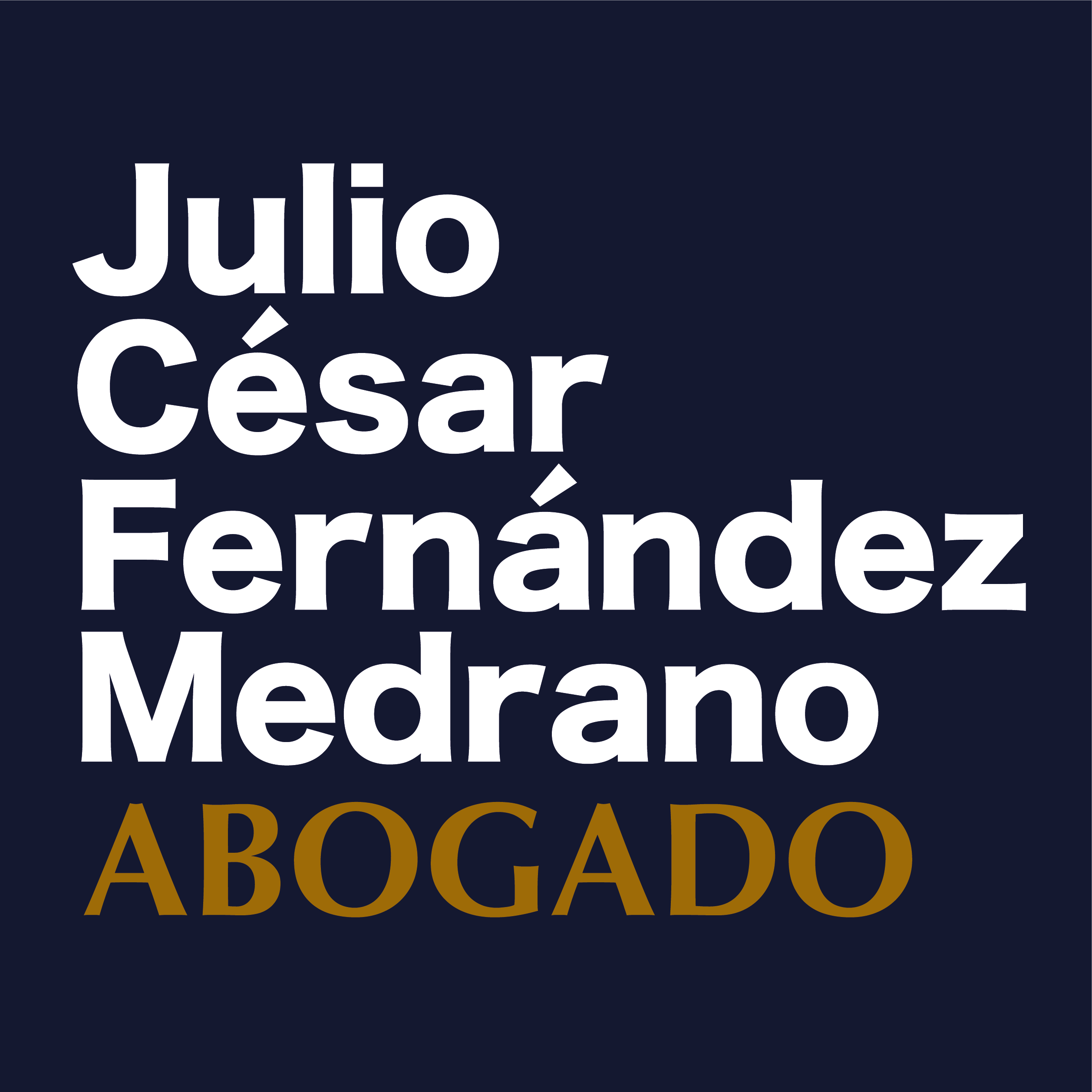 Fernandez Consultores